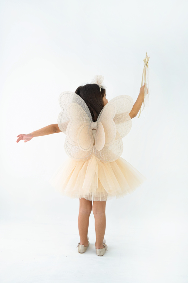 Handmade Butterfly Winged Tutu Skirt 4-Piece Birthday Set
