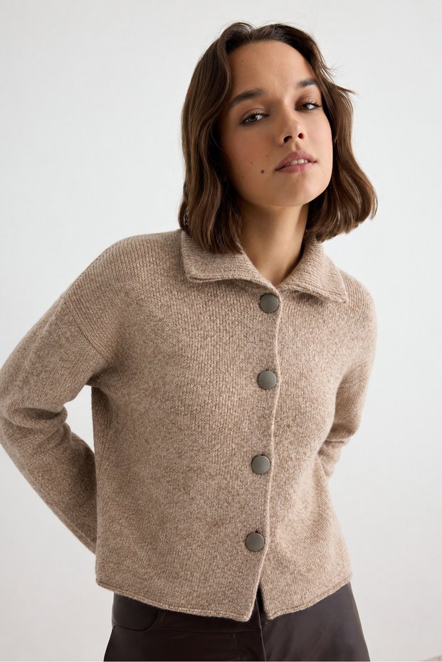 Melange Metal Buttoned Polo Collar Knitwear Cardigan Aw26Hi0031