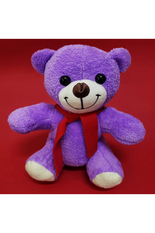 Plush Toy Bear