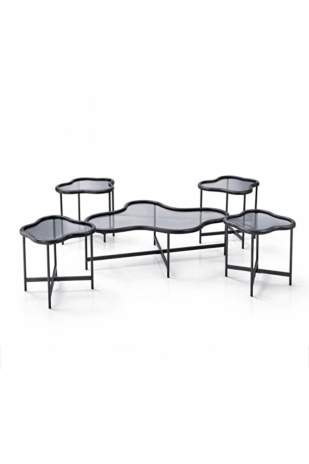 Modern Coffee Table Set