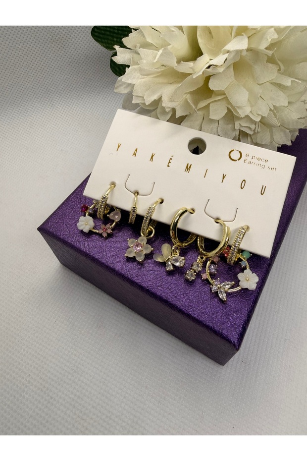 Zircon Stone Flower Garden Model 6-Piece Steel Earring Set