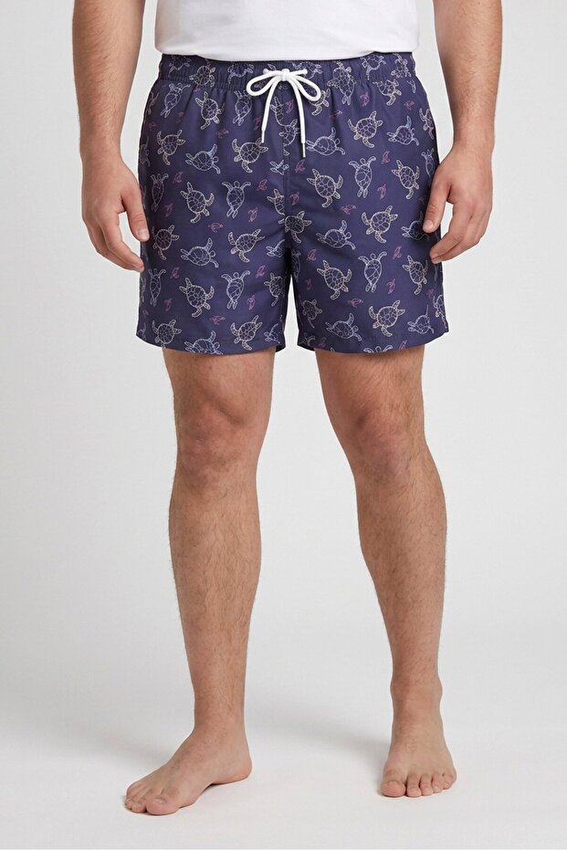 Men Graphic Print Board Shorts, Multicolor