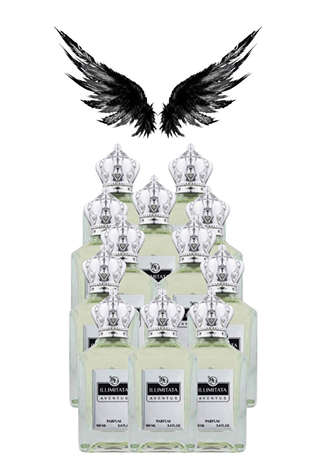 12 قطعة من عطر أفينتوس 100 مل