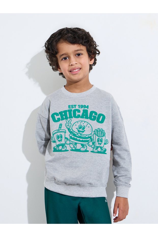Boys Grey Graphic Print Regular Fit Sweatshirt
