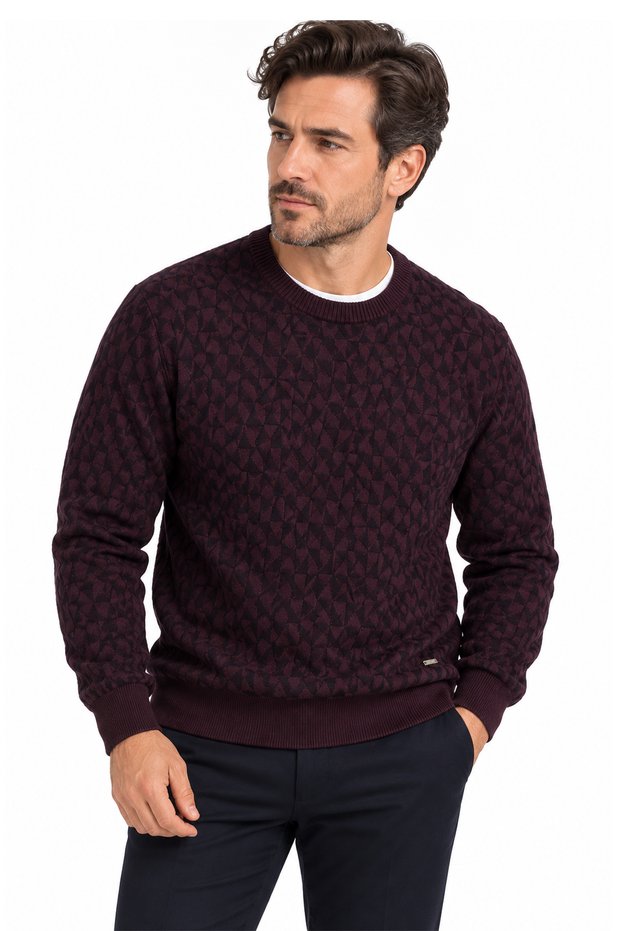 Men's Crew Neck Geometric Pattern Sweater