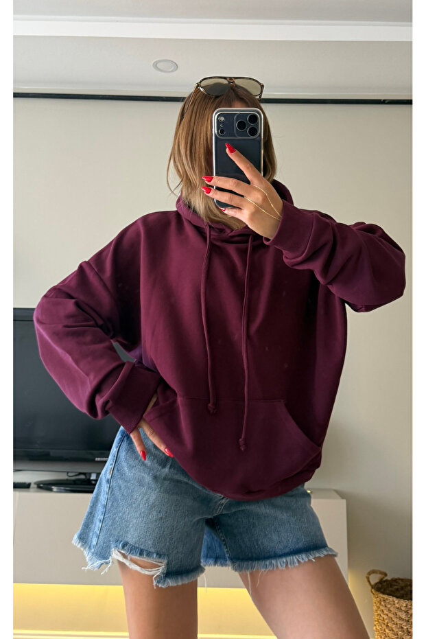 Plum Sequin Embroidered Hooded Sweatshirt with Wing Detail - 4197