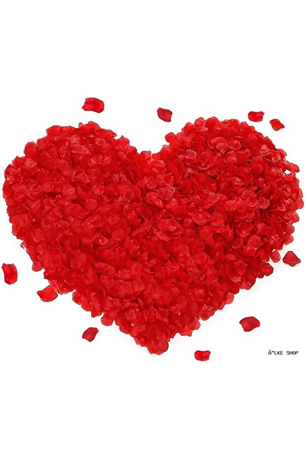 Ilkestor Red Color Rose Petal Shaped Confetti – 10 Packs (182921) 1000 Pieces