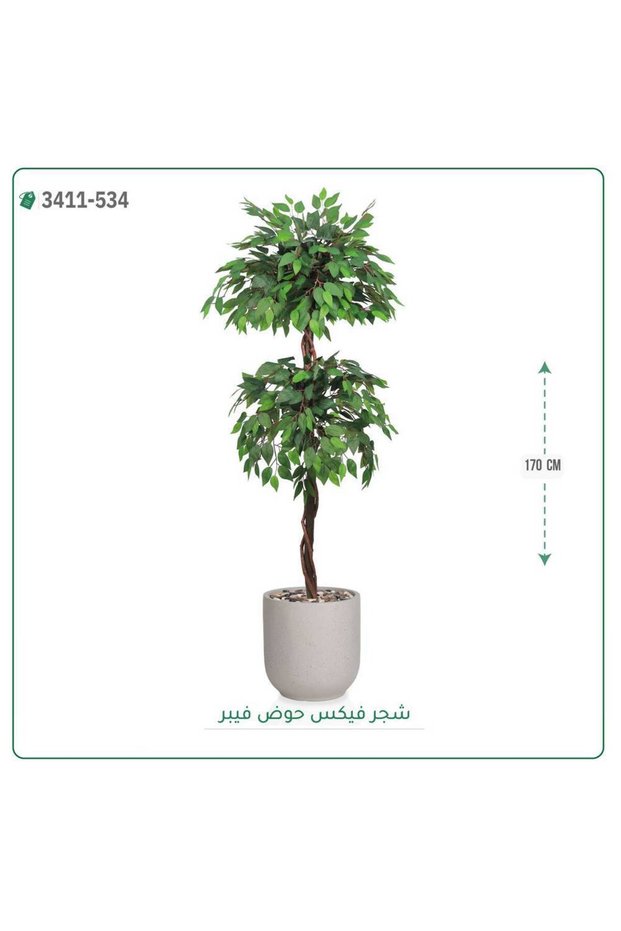 شجر فيكس صناعية حوض فيبر { ارتفاع 170 سم }