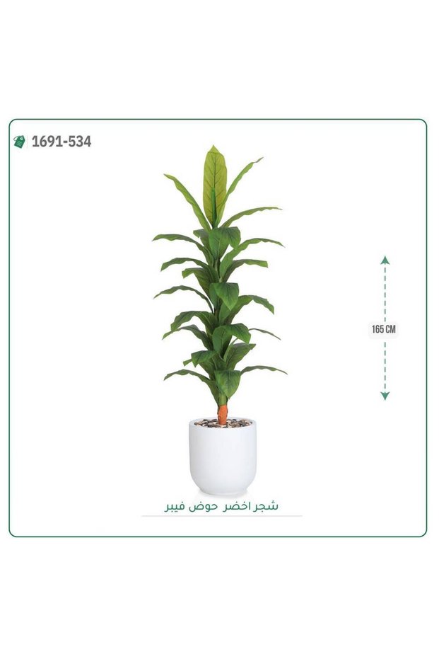 شجرة ورق أخضر وسط بحوض فيبر اسطوانى