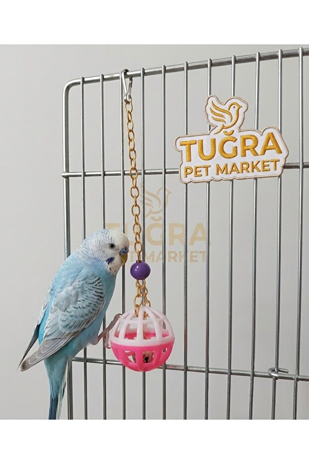 Bird Play Ball with Bell Bird Toy