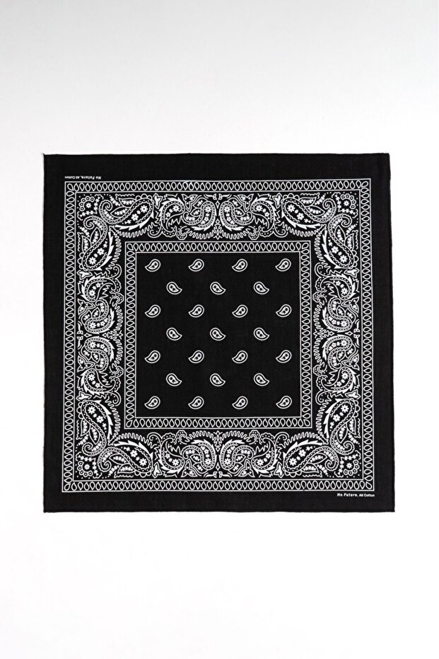 Sinaloa Paisley Bandana Nf0564Sy
