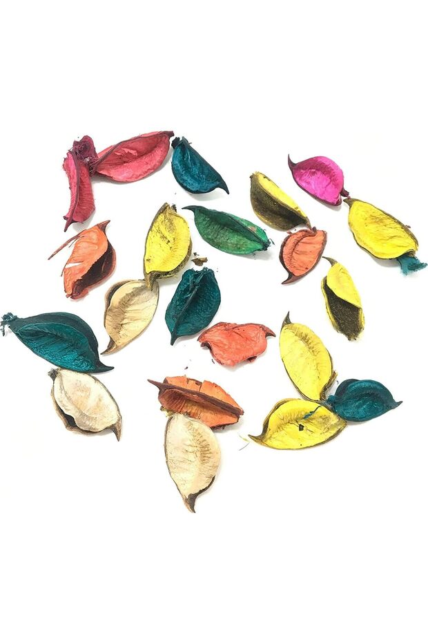 Dried Flower Leaves Beautiful Wooden Petals (Multicolour) (250 GM.)