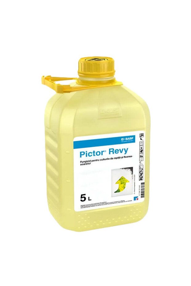 Pictor Revy 5L