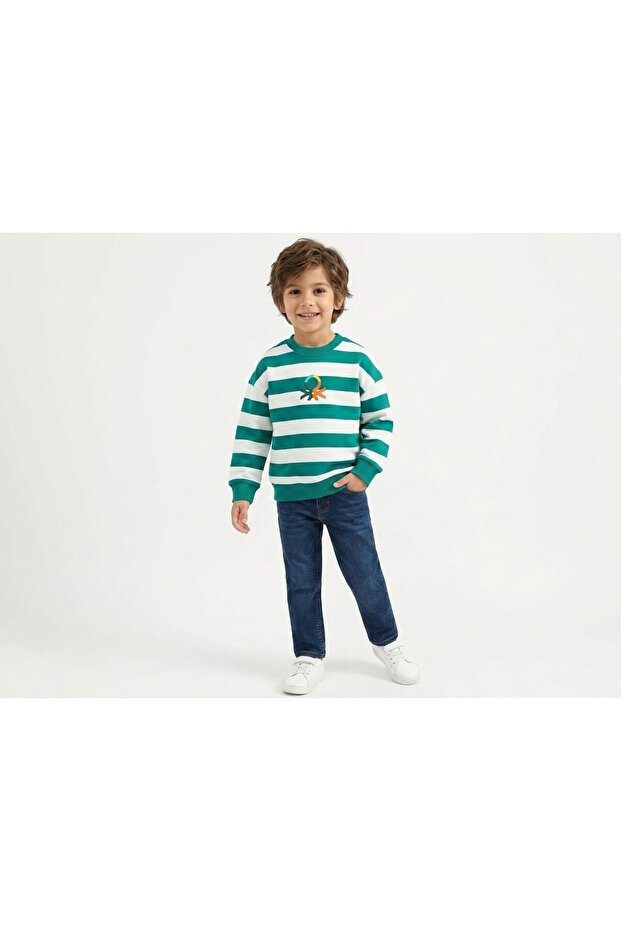 Boy's Green Striped Sweatshirt
