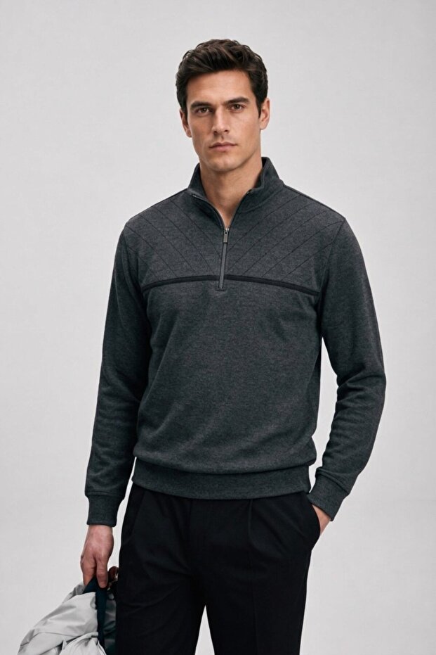 Men's Striped Regular Anthracite Half-Zip Sweatshirt