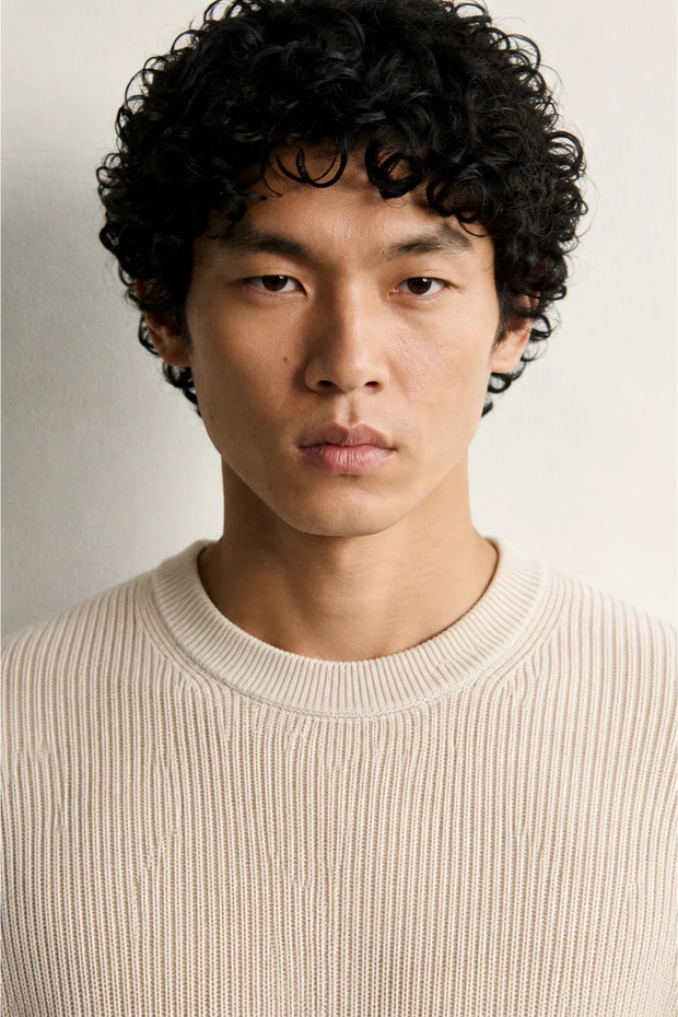 Quill - Beige - Cotton Crew Neck - Men's Sweater