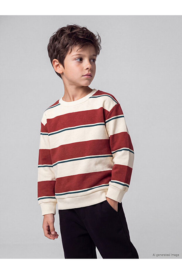 Crew Neck Striped Boy's Sweatshirt