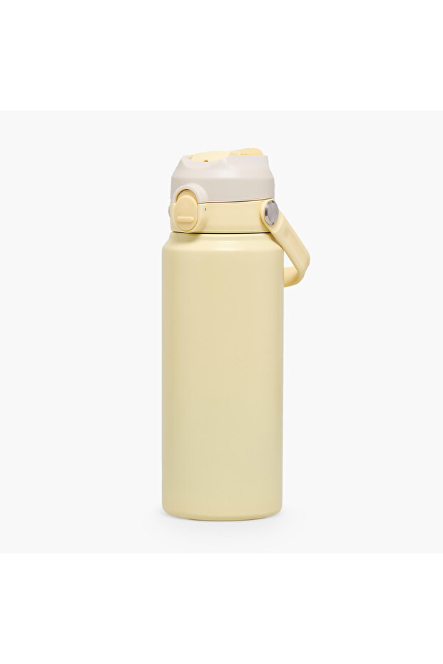 Solid Stainless Steel Water Bottle with Flip Spout and Handle