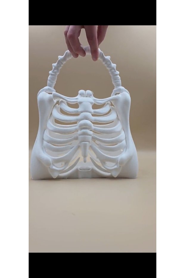 Halloween Bag, Skeleton Bag, Halloween Thoracic Vertebra Bag