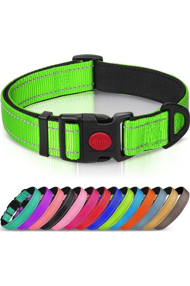 Reflective Dog Collar with Soft Neoprene Padding, Metal D-Ring and Adjustable Length, Premium Nylon Material (Color: Green)