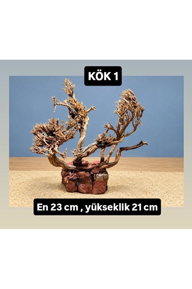 KÖK 1