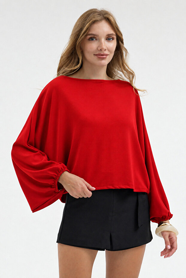 Women's Standard Size Balloon Sleeve Bluz