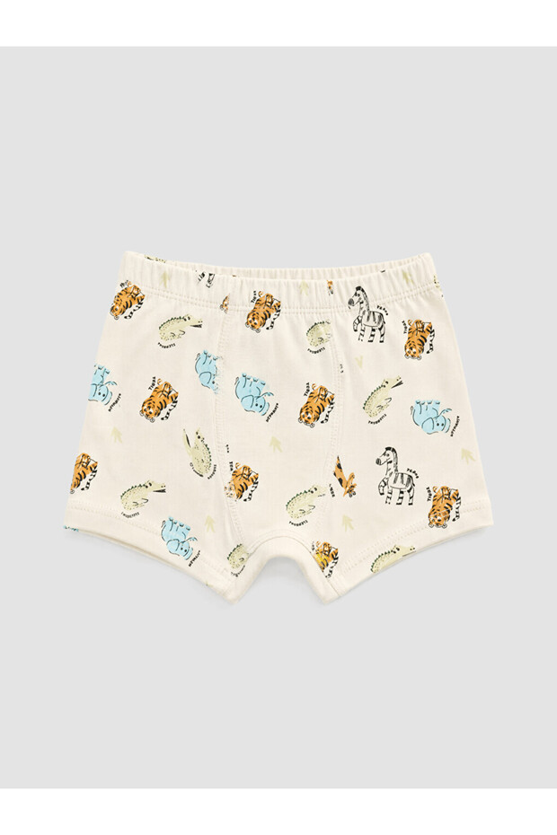 Timeless Clothing & Timeless Choices Boys' Printed Boxer