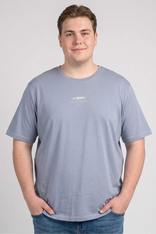 Men Crew Neck Short Sleeve Graphic Print T-Shirt, Slate Blue