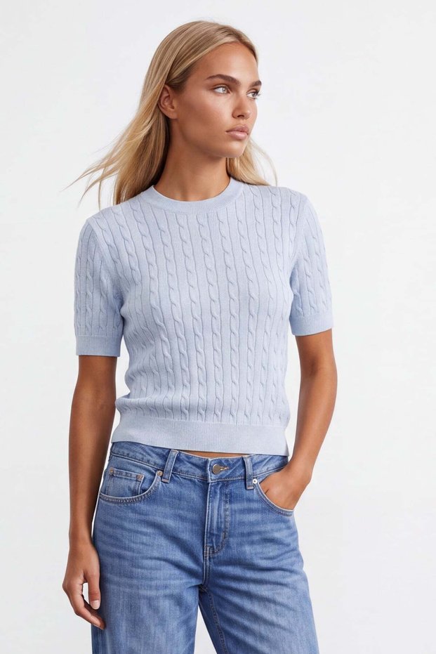 Women's Blue Crew Neck Soft Textured Self-Glitter Knitwear Blouse Alc-X15768