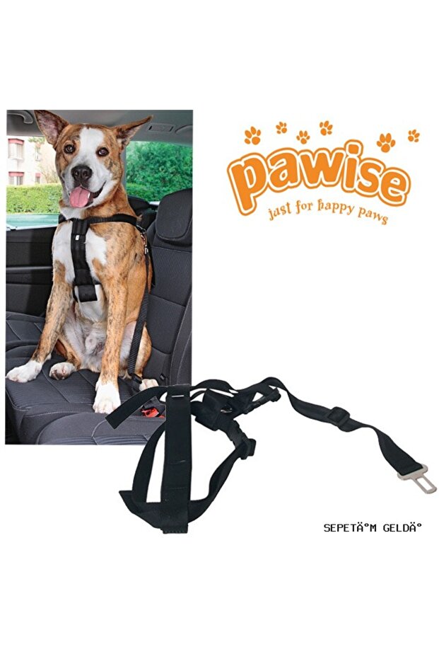 Spt-Gld Dog with Safety Harness (214929) Collar S