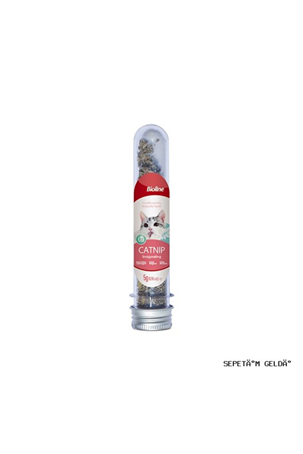 Spt-Gld Catnip Herb (214730) 45 ml