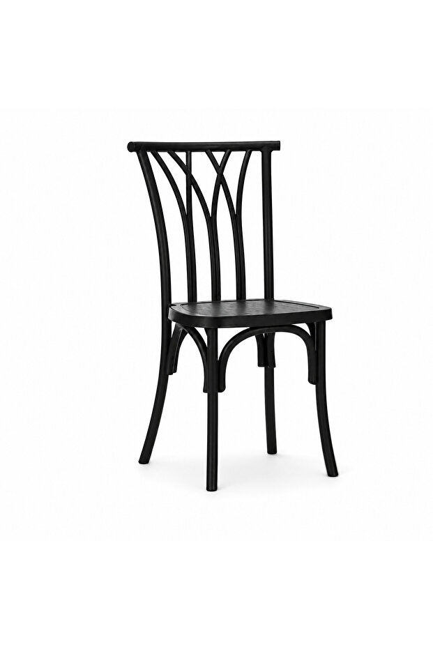 Luxury Sitting Chair Black
