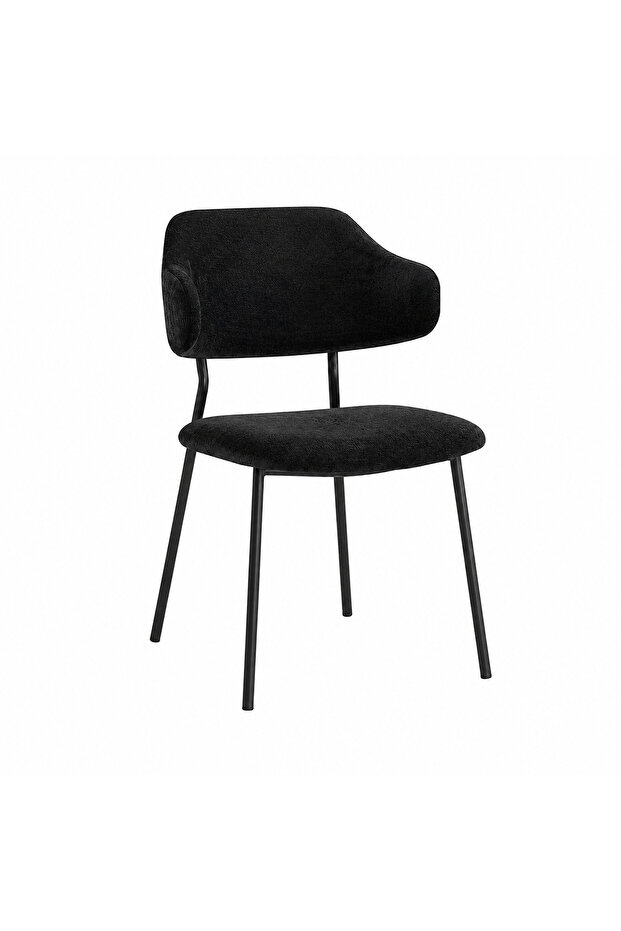 Elegant Black Color Sitting Chair