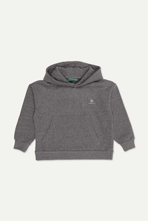 Boy's Sweatshirt 16Tpt22