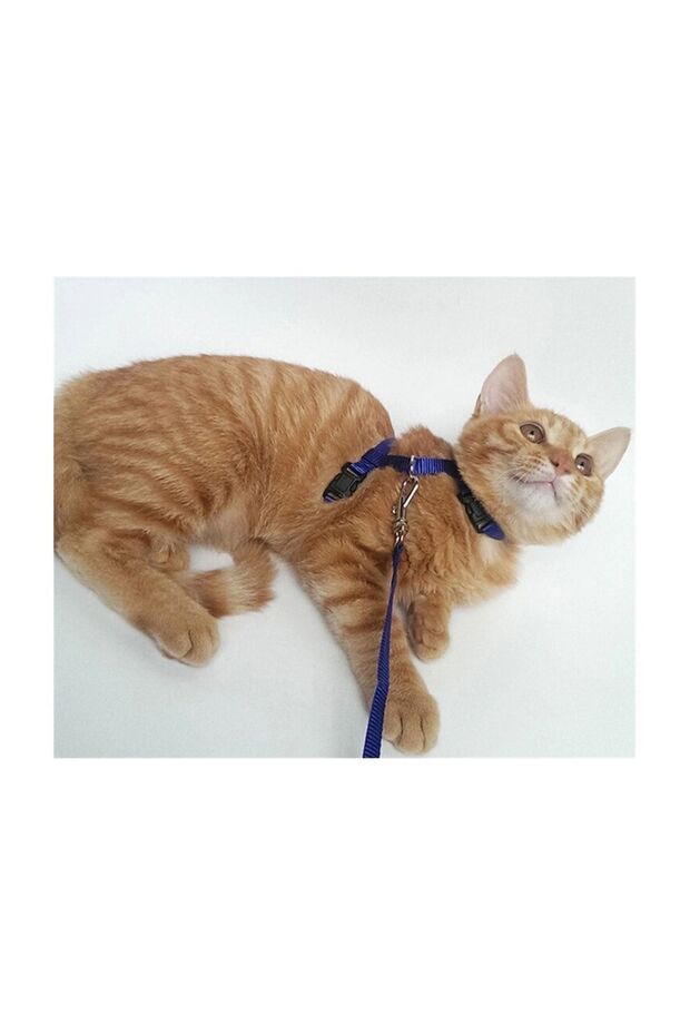 Vest Belt for Little Friends, Measured According to Size, Traveling Rope