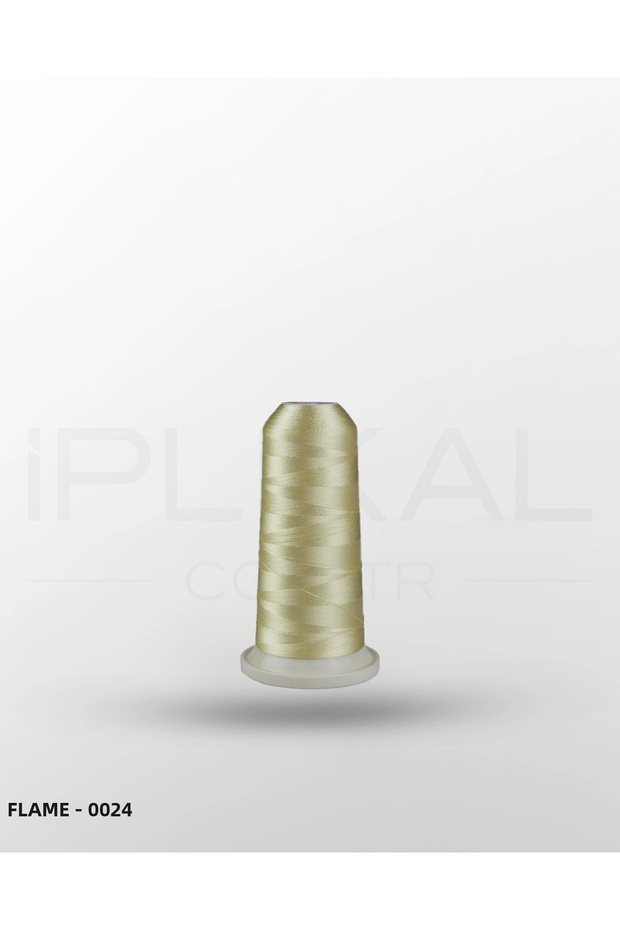 Flame - 0024
