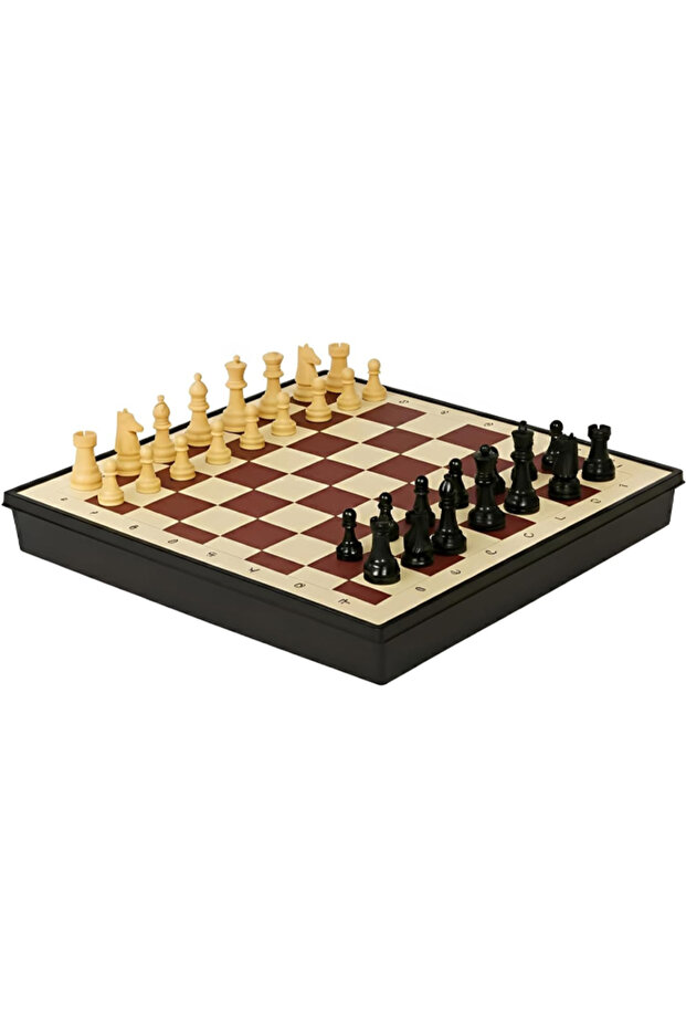 World Chess Set with Foldable Magnetic Design