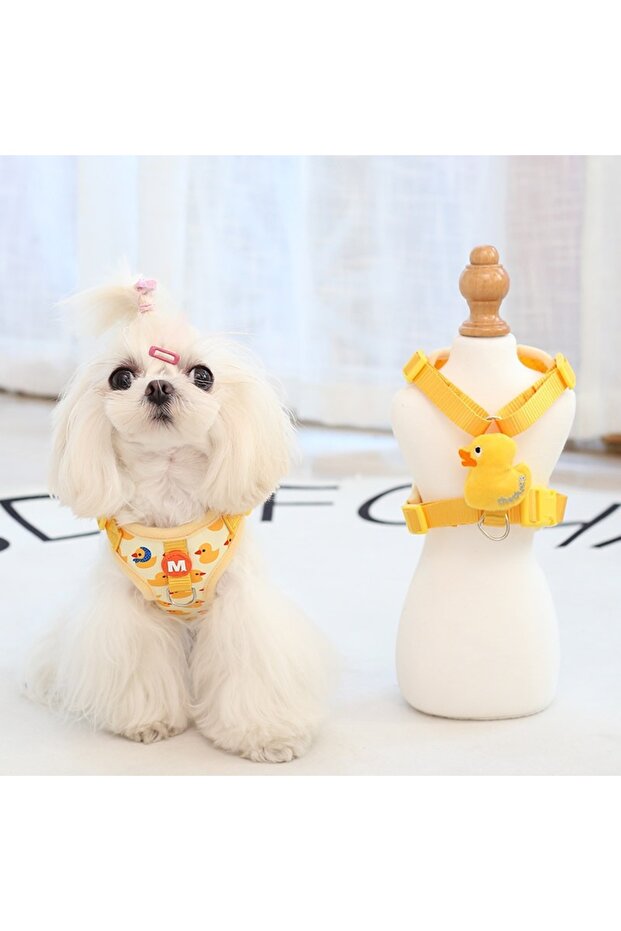 M (2.5-4KG) Yellow Duck Small Dog Harness and Leash Set, Four-Point Adjustable Soft Mesh Dog Vest Ha