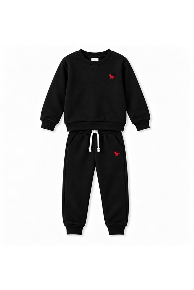 Boy's Dinosaur Embroidered Crew Neck Sweatshirt and Pants 2-Piece Set
