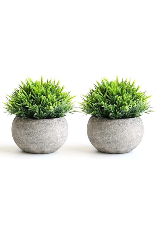 2PCS Mini Artificial Plants – Faux Plants in Pots with Zero Maintenance, Home Office Décor with Eco-