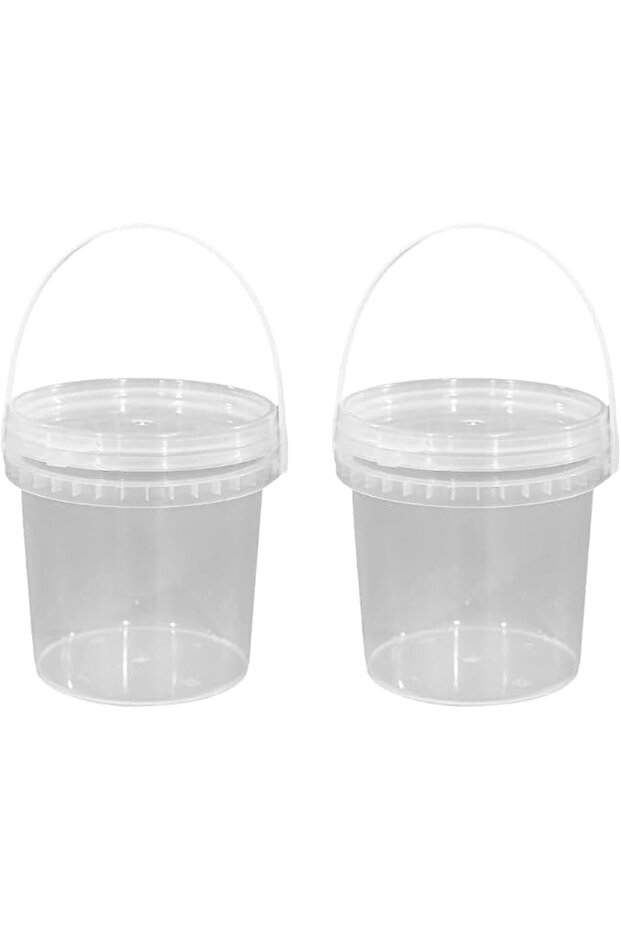 Clear Plastic Container with Lid and Handle (2 Pack) Food Storage Container Freezer Microwave Safe F