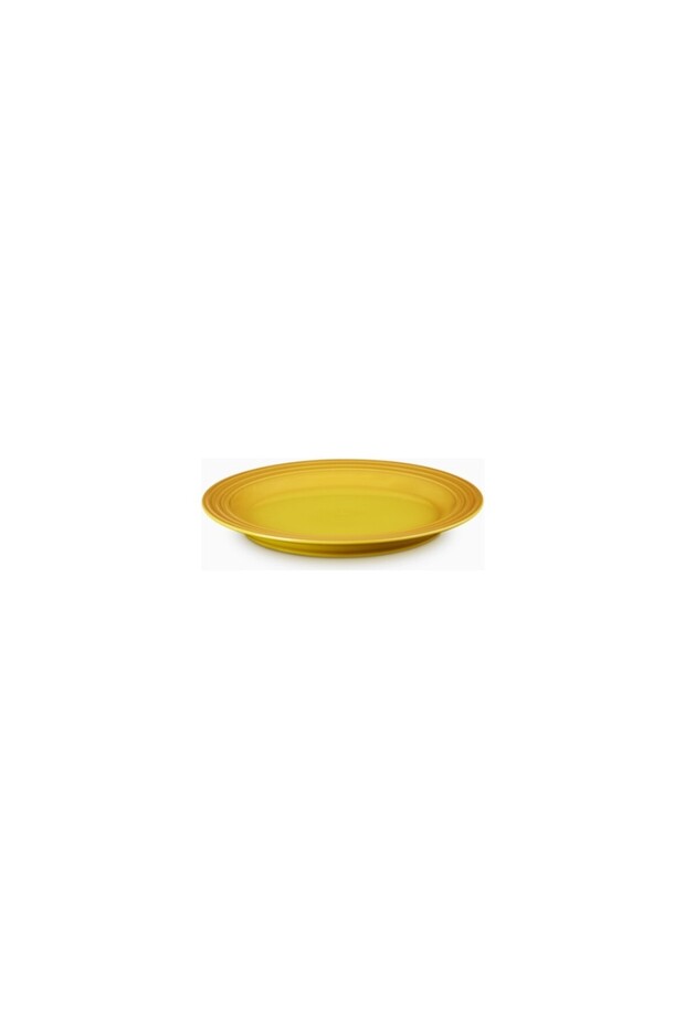 Colorful Durable Design Ceramic Breakfast Plate 22 cm
