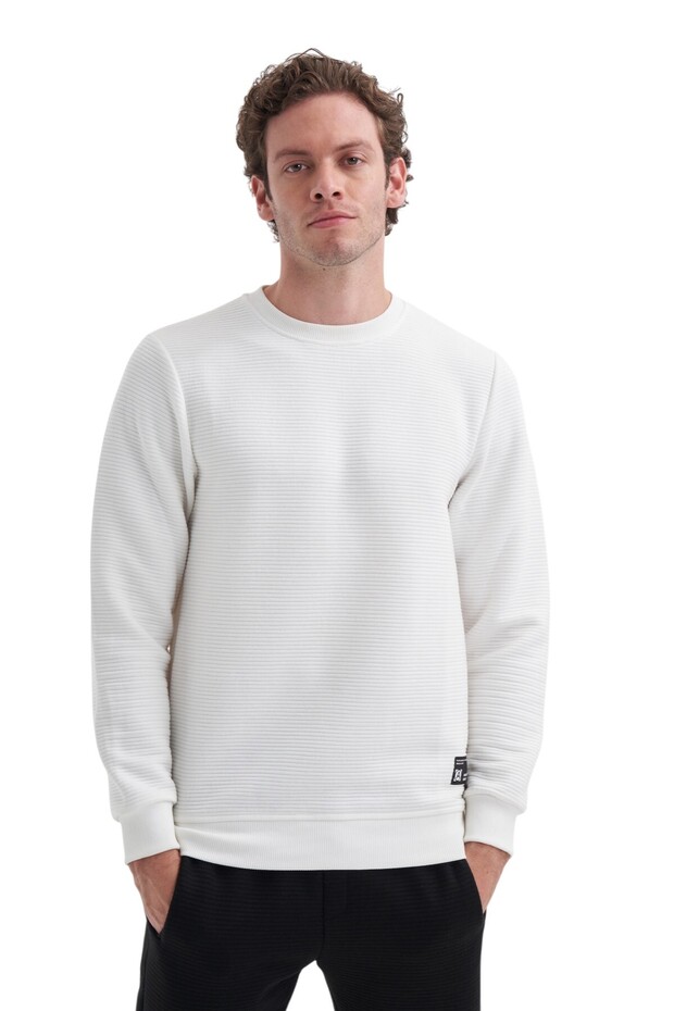 Sweatshirts - Beige - Regular fit