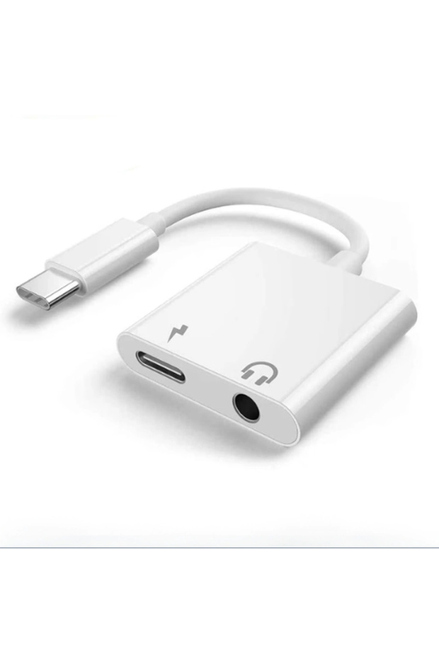 Type-c 2in1 aux converter zr793