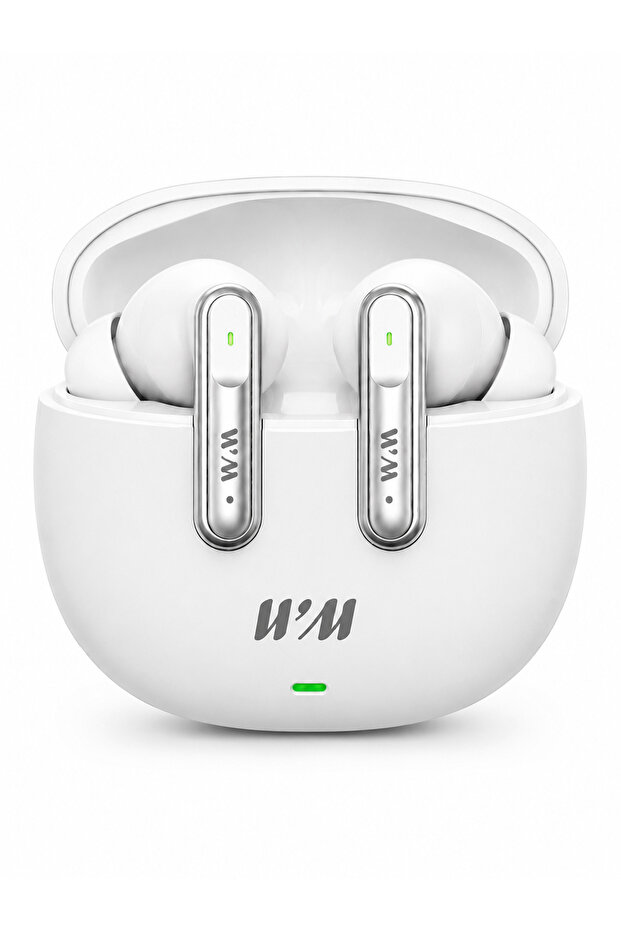 RAIN12 True Wireless Earbuds Bluetooth Earphones with Touch Control, Built-in Microphone, Portable Charging Case, Wireless Stereo Earbuds for Music, Calls, Work, Travel and Everyday Use
