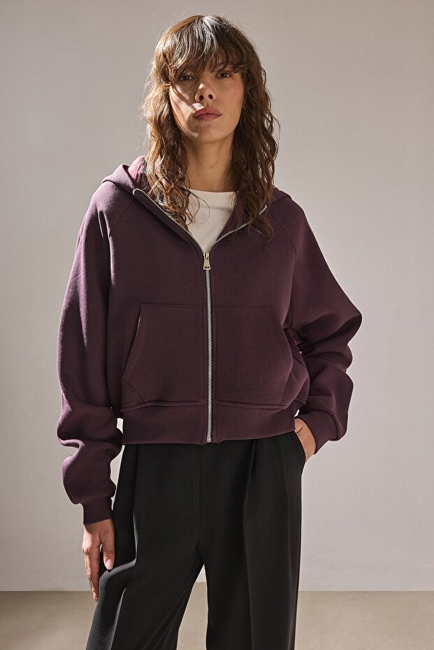 Hooded Basic Zippered Sweatshirt