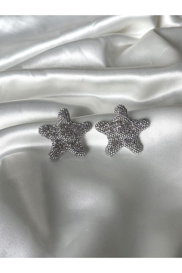 Women's Silver Color Stone Stylish Steel Star Earrings