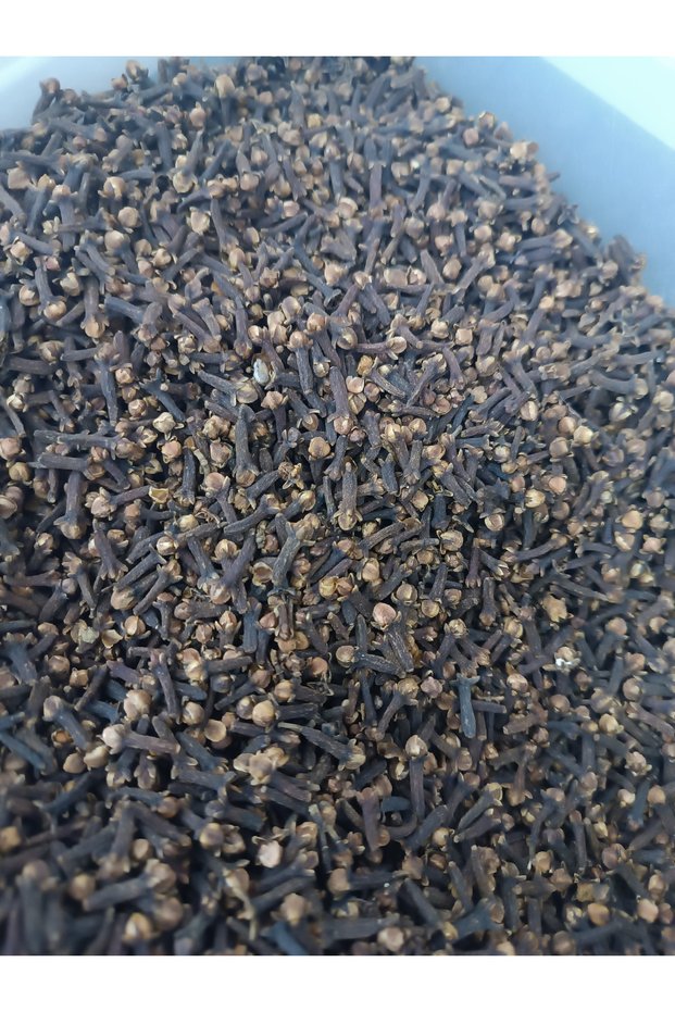 Karabiber