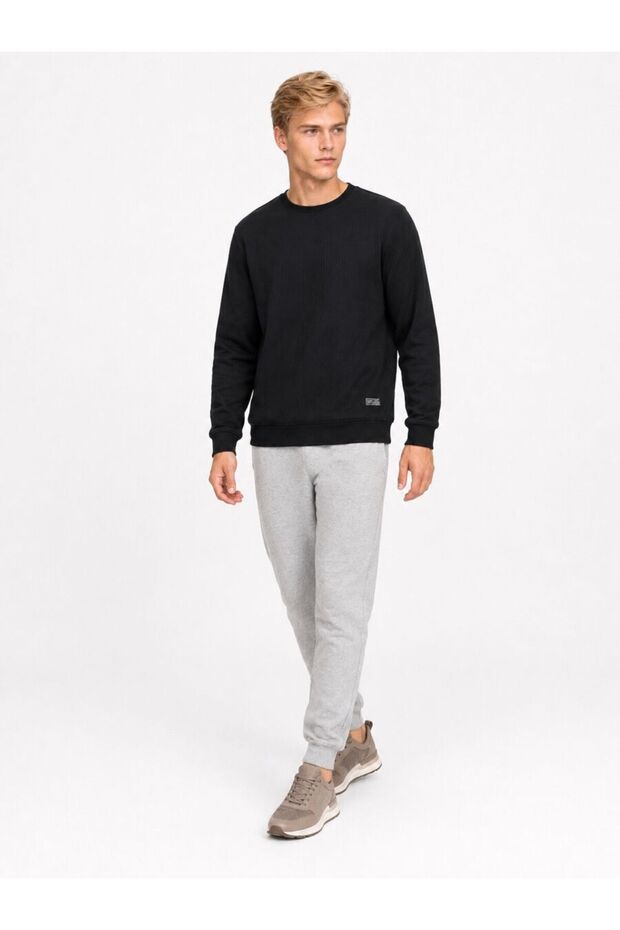 Regular Fit Men's Sweatshirt
