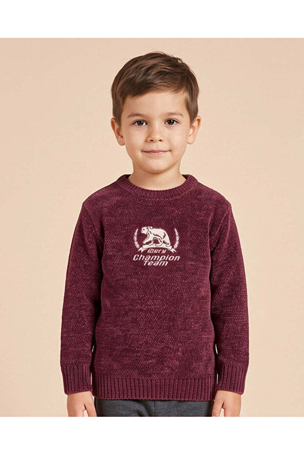 Boys Burgundy Printed Chenille Jumper